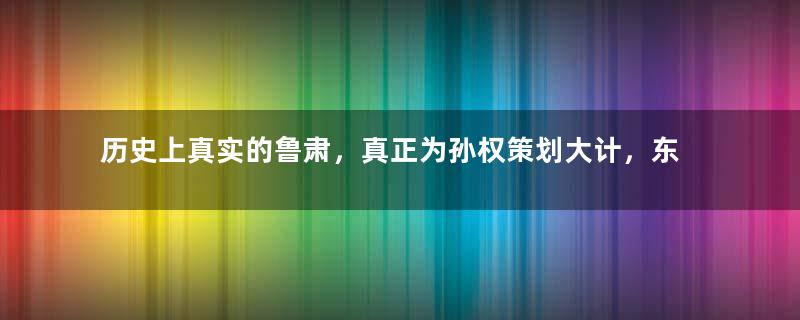 历史上真实的鲁肃，真正为孙权策划大计，东吴的策略家