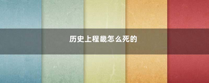 历史上程畿怎么死的