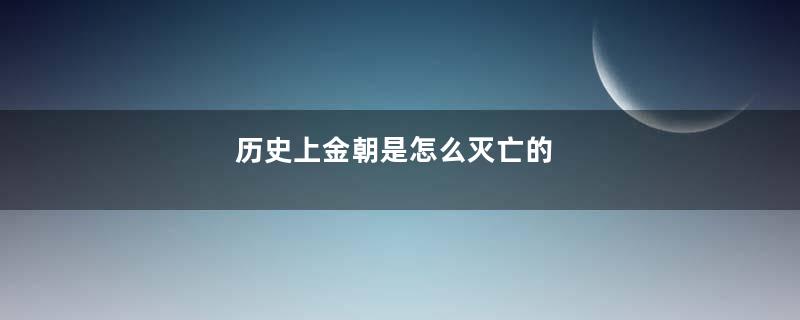 历史上金朝是怎么灭亡的