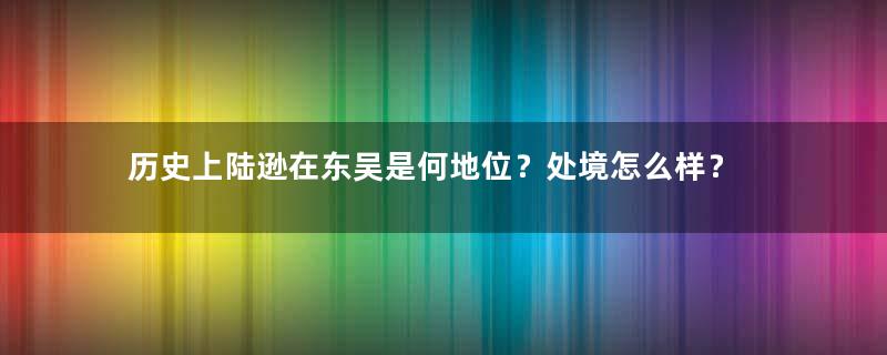 历史上陆逊在东吴是何地位？处境怎么样？