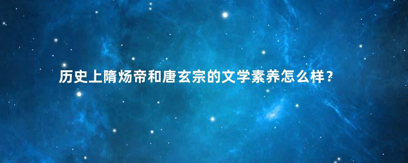 历史上隋炀帝和唐玄宗的文学素养怎么样？