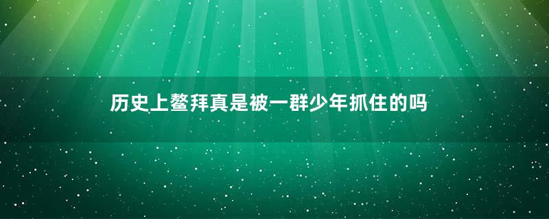 历史上鳌拜真是被一群少年抓住的吗