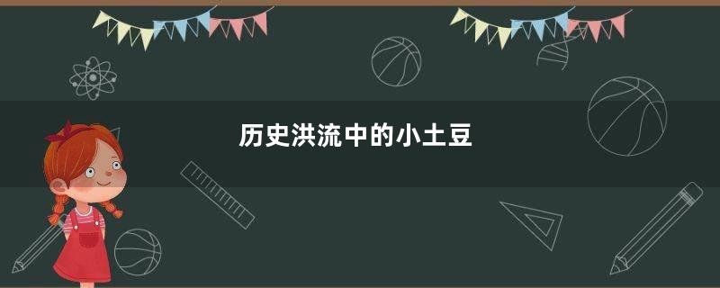 历史洪流中的小土豆