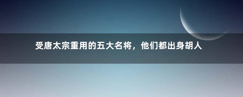 受唐太宗重用的五大名将，他们都出身胡人