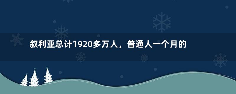 叙利亚总计1920多万人，普通人一个月的工资，到底有多少钱？
