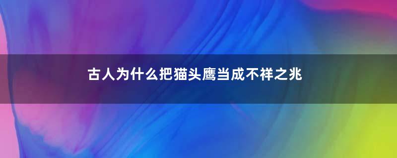 古人为什么把猫头鹰当成不祥之兆