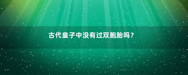 古代皇子中没有过双胞胎吗？