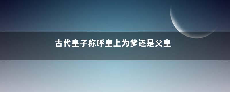 古代皇子称呼皇上为爹还是父皇