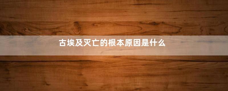 古埃及灭亡的根本原因是什么