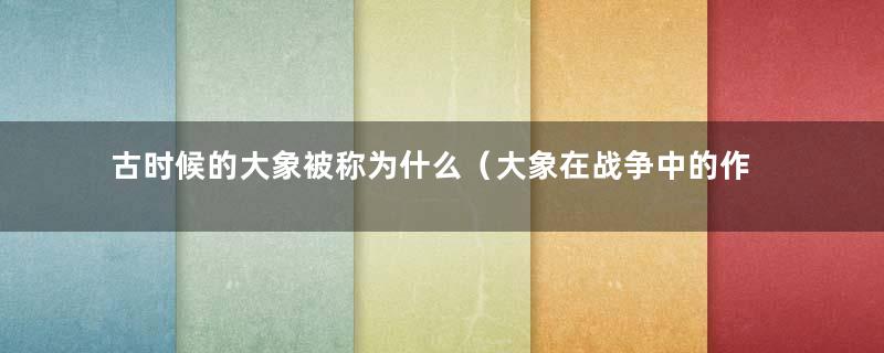 古时候的大象被称为什么（大象在战争中的作用）