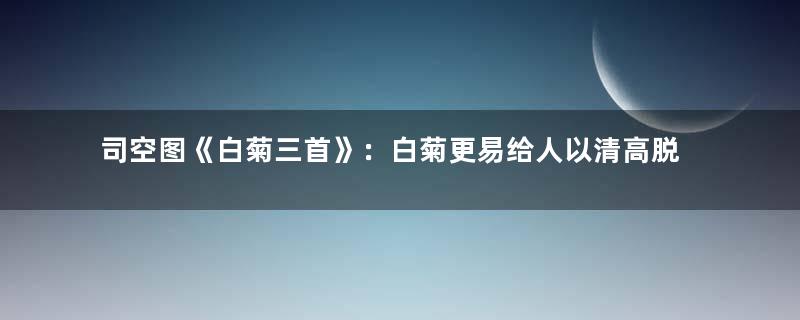 司空图《白菊三首》：白菊更易给人以清高脱俗之感