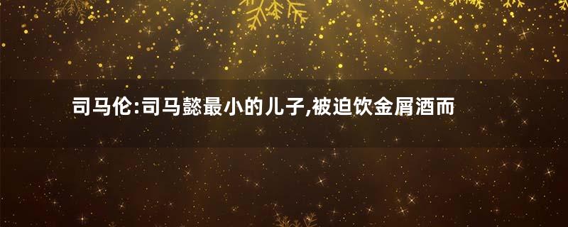司马伦:司马懿最小的儿子,被迫饮金屑酒而死