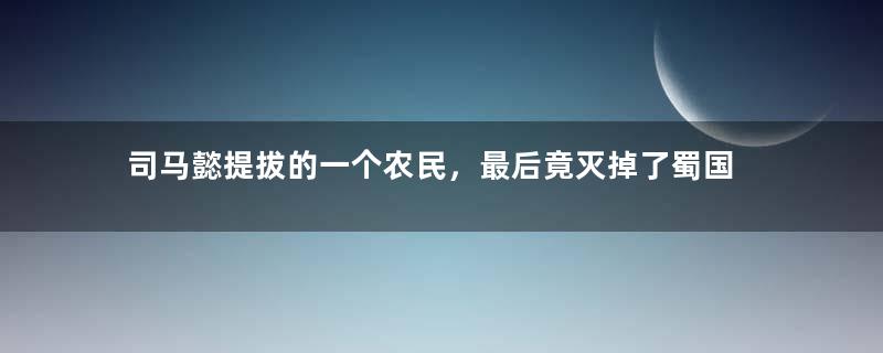 司马懿提拔的一个农民，最后竟灭掉了蜀国