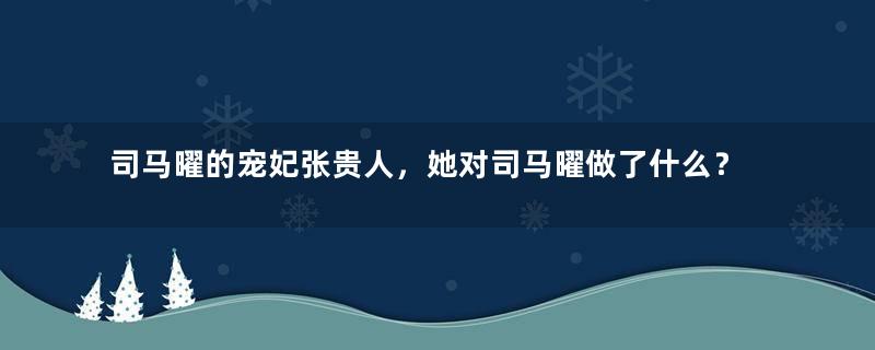 司马曜的宠妃张贵人，她对司马曜做了什么？