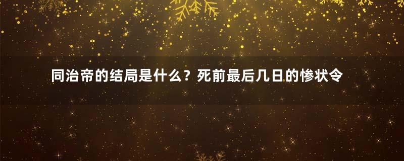 同治帝的结局是什么？死前最后几日的惨状令人惊骇不已