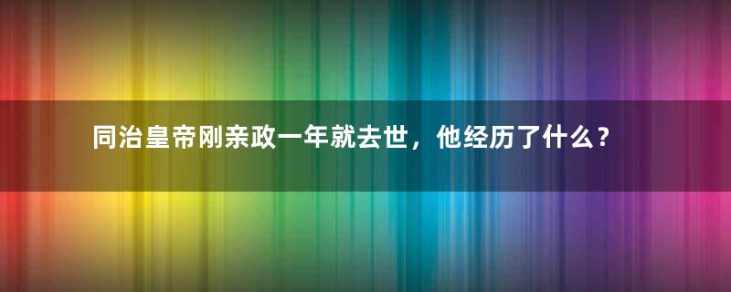 同治皇帝刚亲政一年就去世，他经历了什么？