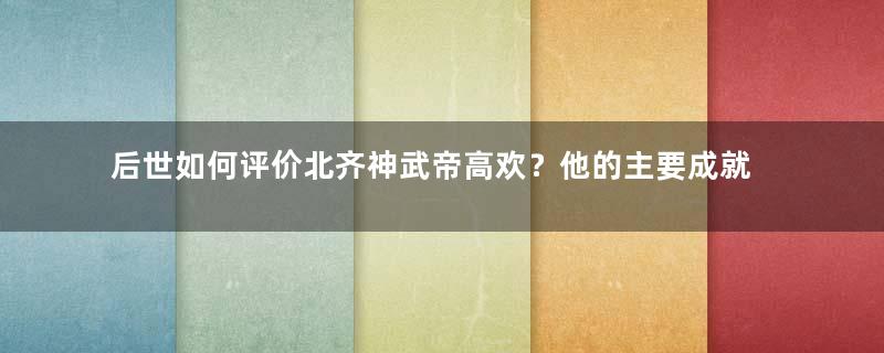 后世如何评价北齐神武帝高欢？他的主要成就有哪些？