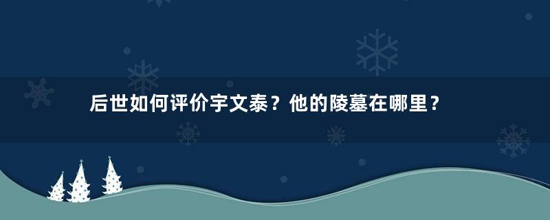 后世如何评价宇文泰？他的陵墓在哪里？