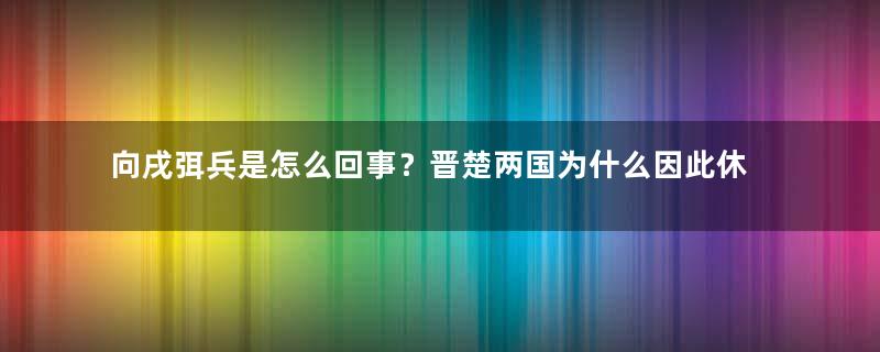 向戌弭兵是怎么回事？晋楚两国为什么因此休战？