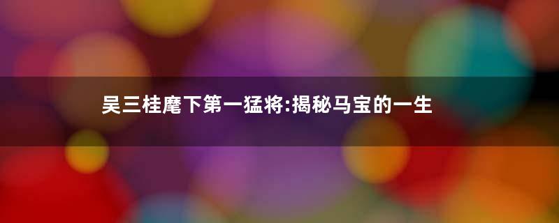 吴三桂麾下第一猛将:揭秘马宝的一生