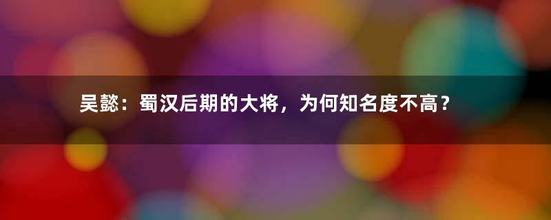 吴懿：蜀汉后期的大将，为何知名度不高？