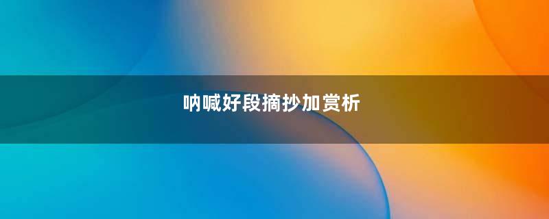 呐喊好段摘抄加赏析