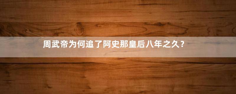 周武帝为何追了阿史那皇后八年之久？