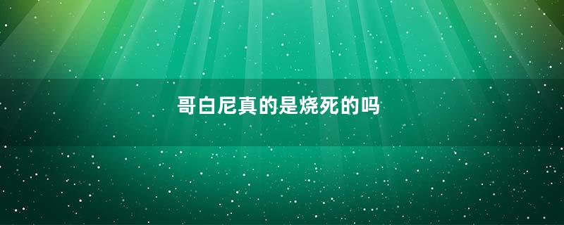 哥白尼真的是烧死的吗