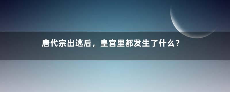 唐代宗出逃后，皇宫里都发生了什么？