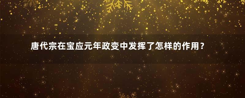 唐代宗在宝应元年政变中发挥了怎样的作用？史料是如何记载的？