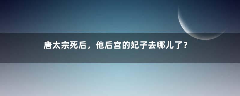 唐太宗死后，他后宫的妃子去哪儿了？