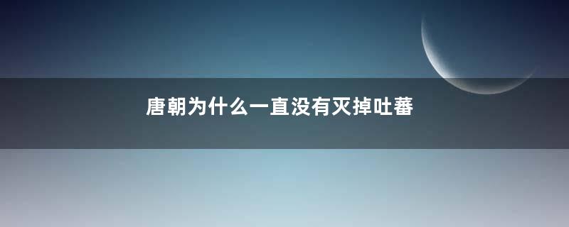 唐朝为什么一直没有灭掉吐蕃