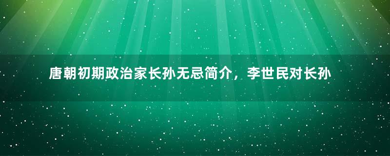 唐朝初期政治家长孙无忌简介，李世民对长孙无忌有何评价？