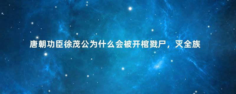 唐朝功臣徐茂公为什么会被开棺戮尸，灭全族？真相是什么