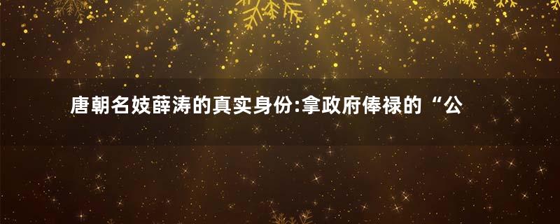 唐朝名妓薛涛的真实身份:拿政府俸禄的“公务员”