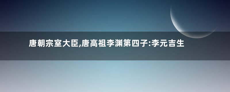 唐朝宗室大臣,唐高祖李渊第四子:李元吉生平简介