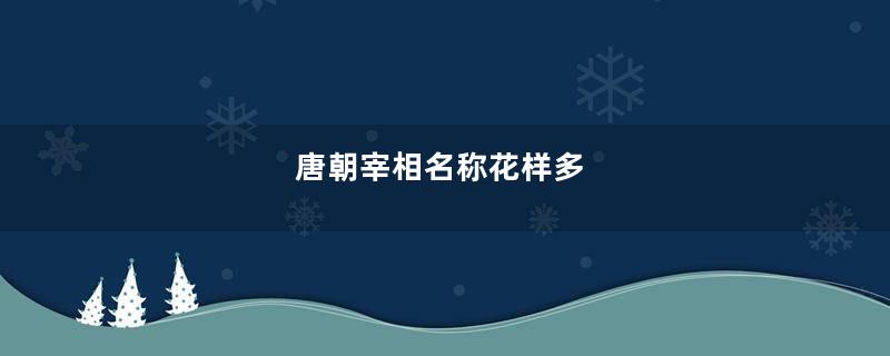 唐朝宰相名称花样多