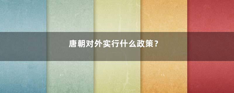 唐朝对外实行什么政策？