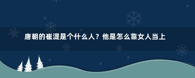 唐朝的崔湜是个什么人？他是怎么靠女人当上宰相的？