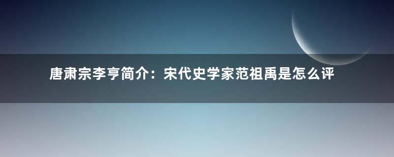 唐肃宗李亨简介：宋代史学家范祖禹是怎么评价李亨的？