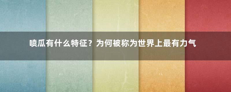 喷瓜有什么特征？为何被称为世界上最有力气的果实？