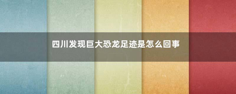 四川发现巨大恐龙足迹是怎么回事