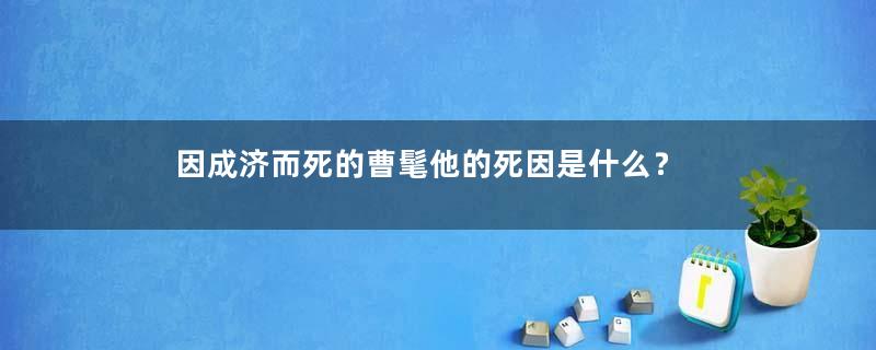 因成济而死的曹髦他的死因是什么？