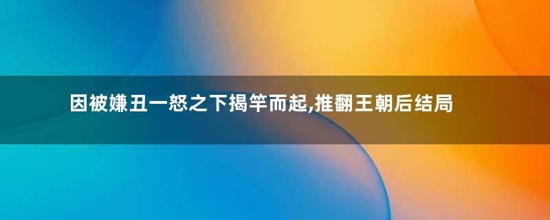 因被嫌丑一怒之下揭竿而起,推翻王朝后结局如何
