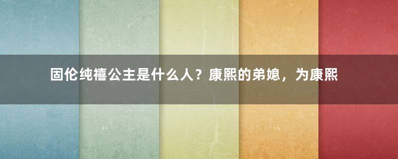 固伦纯禧公主是什么人？康熙的弟媳，为康熙生下一个女儿