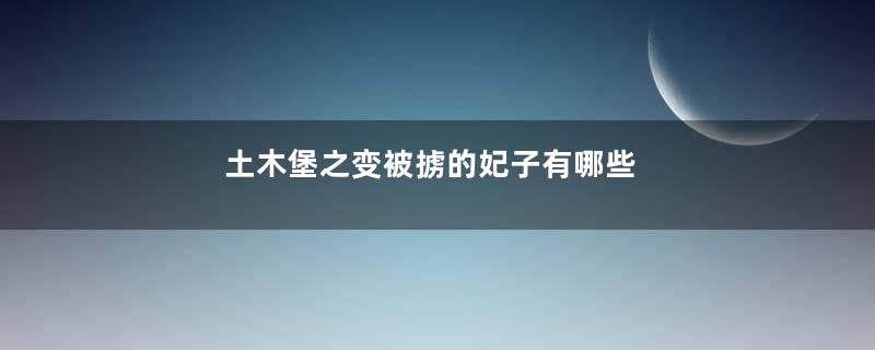 土木堡之变被掳的妃子有哪些
