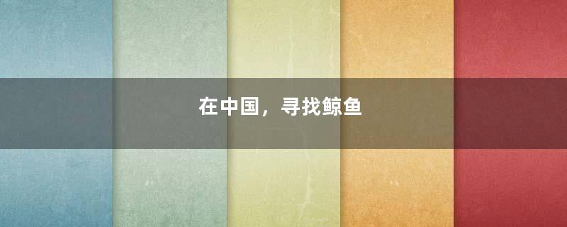 在中国，寻找鲸鱼