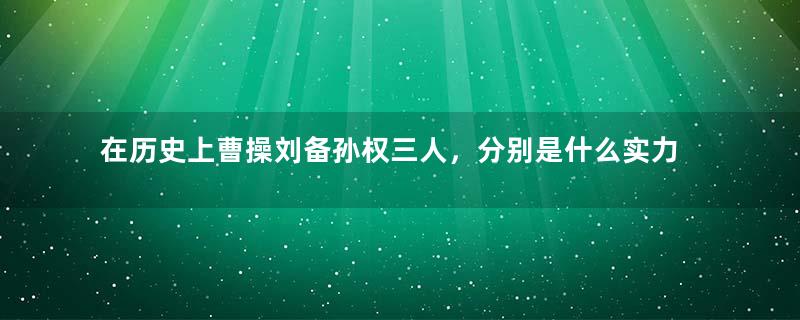 在历史上曹操刘备孙权三人，分别是什么实力？