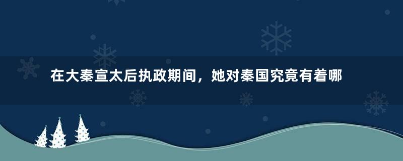 在大秦宣太后执政期间，她对秦国究竟有着哪些贡献？