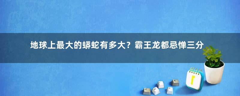 地球上最大的蟒蛇有多大？霸王龙都忌惮三分